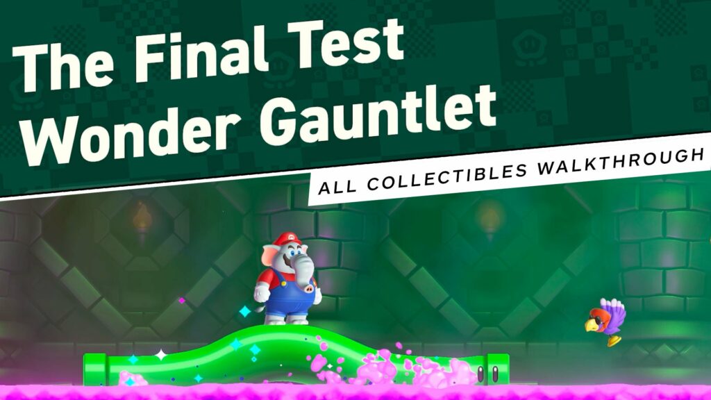 Super Mario Bros. Wonder - The Final Test: Wonder Gauntlet (All Collectibles)
